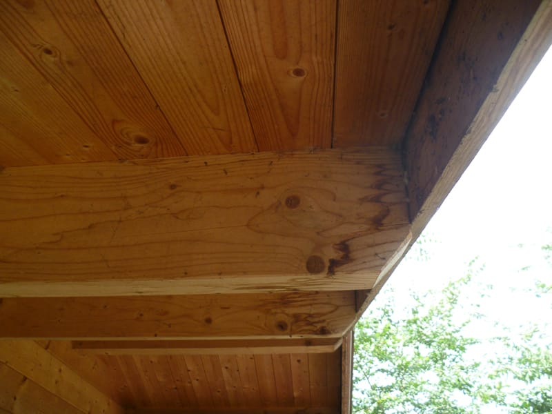 Untreated purlins on a very old log cabin