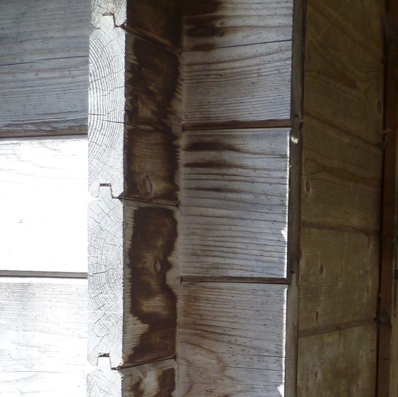 Cracking and splitting of log cabin logs