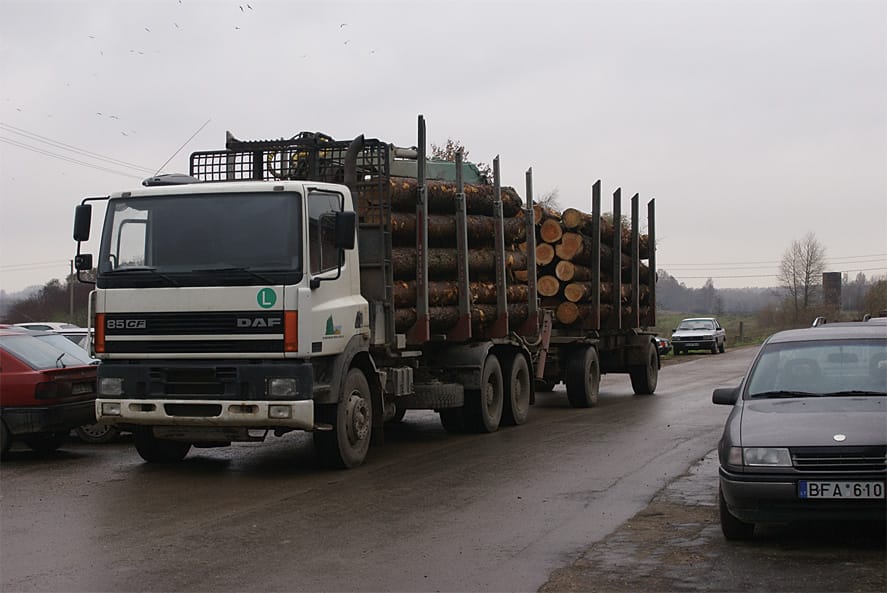 Logs arriving at the mill
