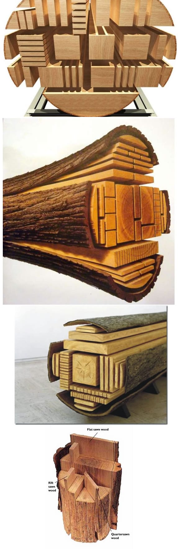 Various types of cuts available from a log