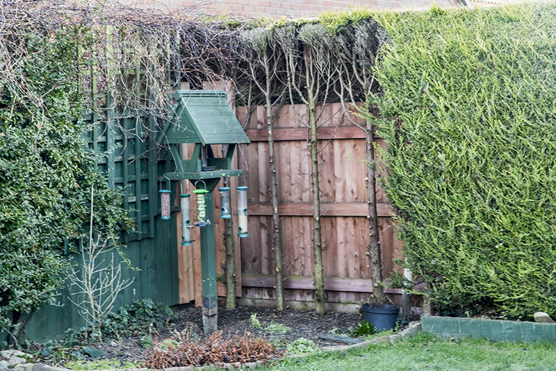 A redundant corner location in Mr L's Garden