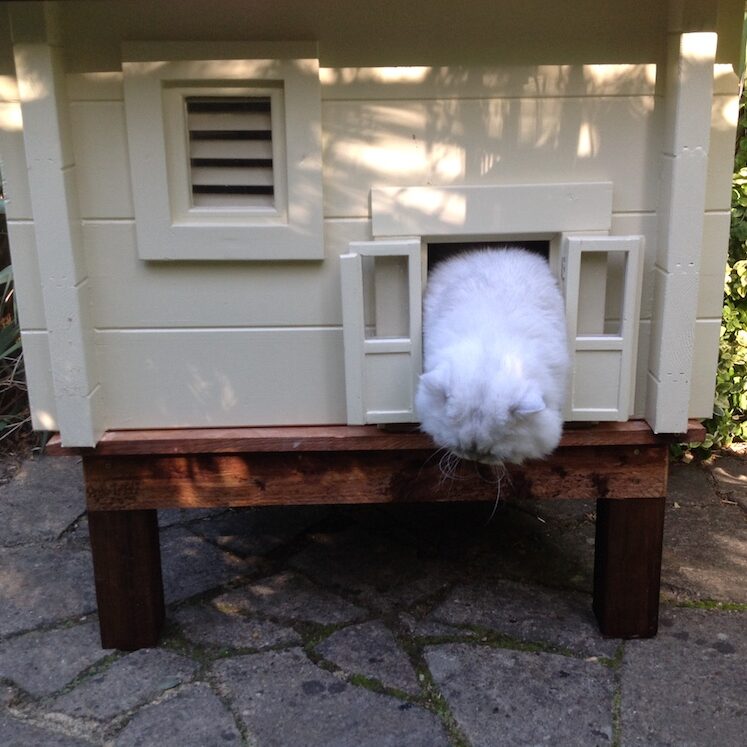 DIY Cat Log Cabin