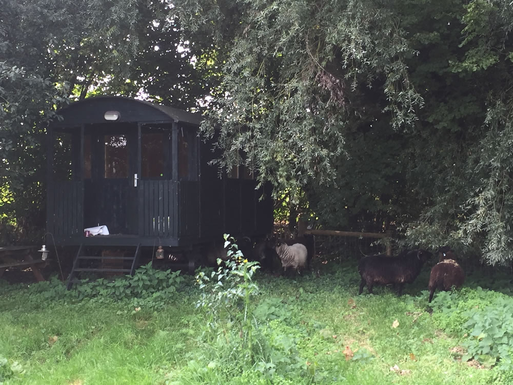 Shepherd hut is an ideal building for glamping on the islands or surrounding area.
