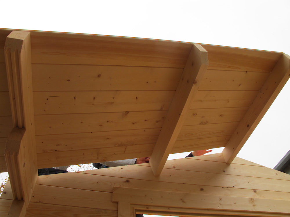 Lennart Overhang Roof Boards