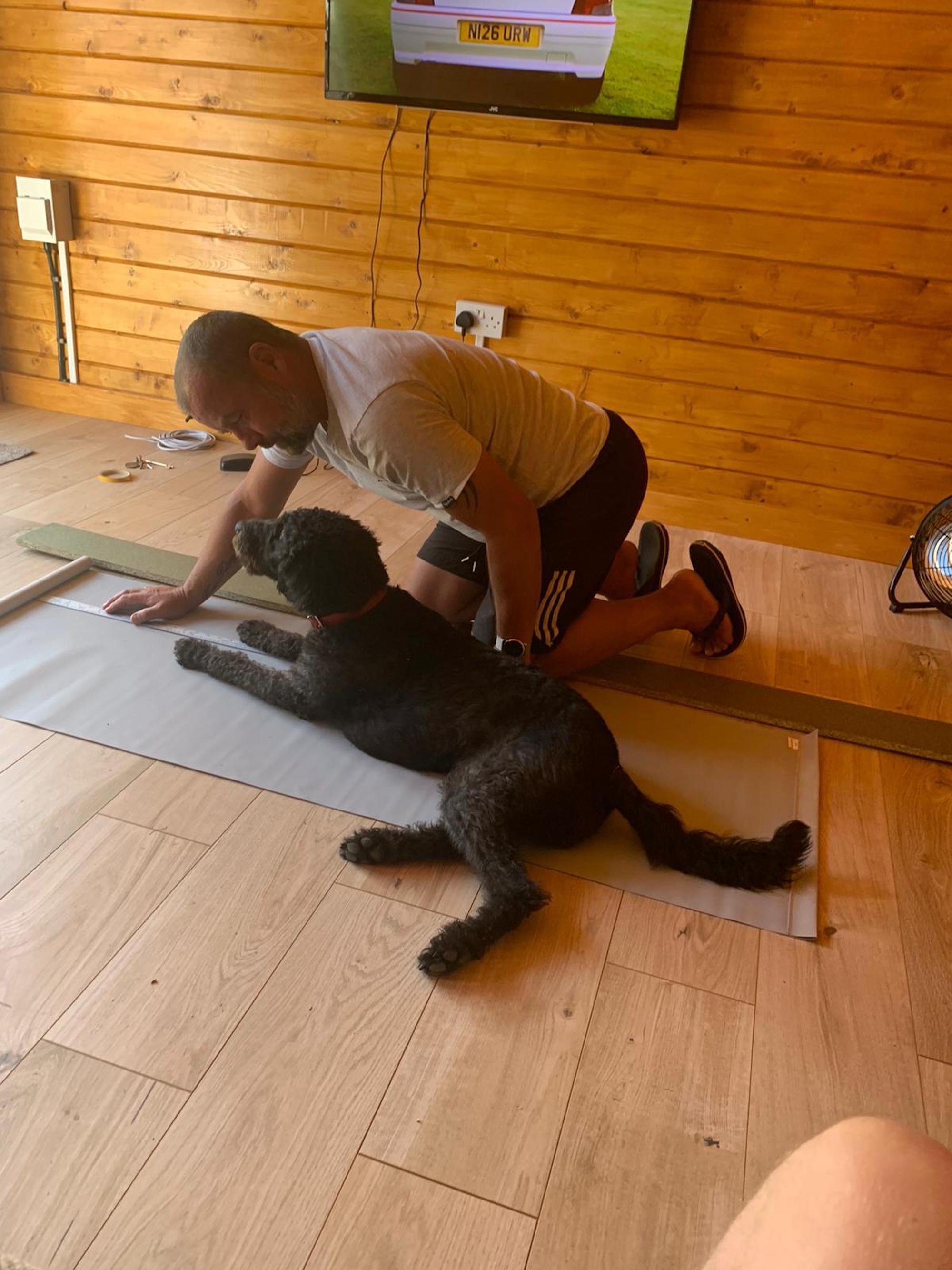 A dog helping with the installation