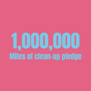 Great British Spring Clean 2021 Stats