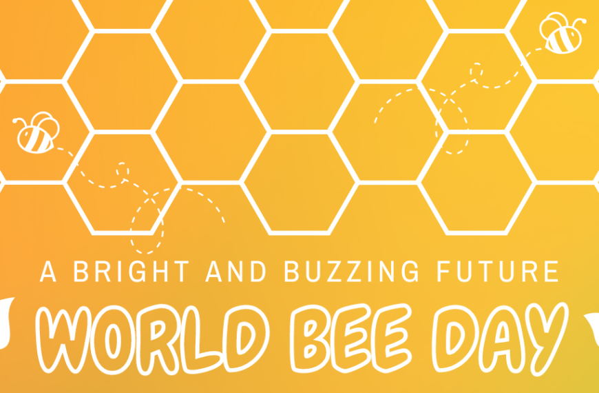 Celebrate World Bee Day with Tuin