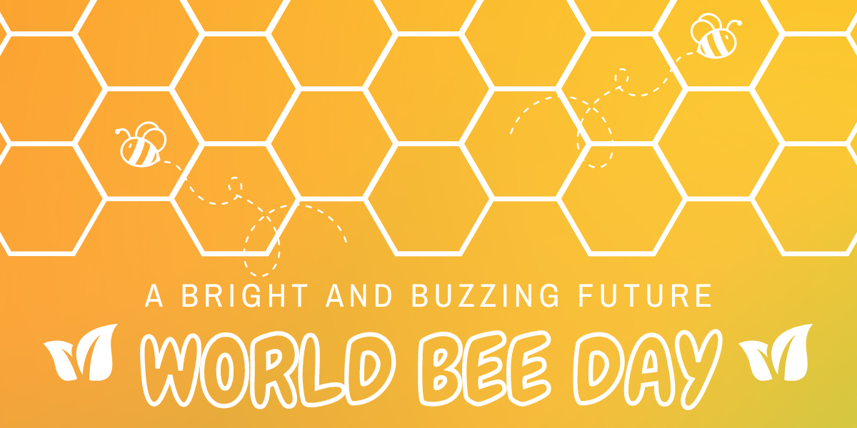 Celebrate World Bee Day with Tuin