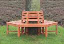 Hardwood tree bench