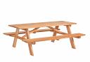 Business Picnic Table