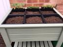Vegetable Garden Table With Plastic Plant Pots