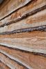 Natural larch cladding